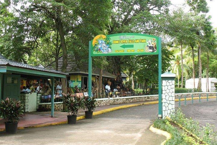 Montego Bay to Dunn's River Falls Half-Day Trip