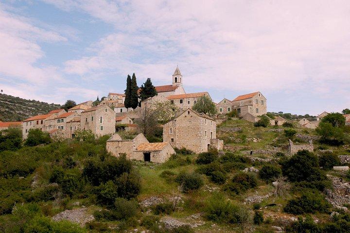 Hvar Lavender Tour
