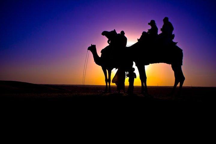 Sunset Camel Ride in Agadir With Hotel Pick up and Drop off