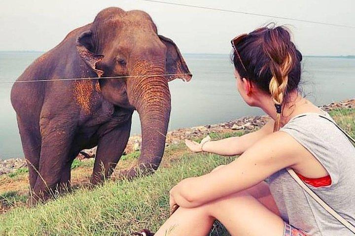 Day Excursions to Udawalawe From Wadduwa