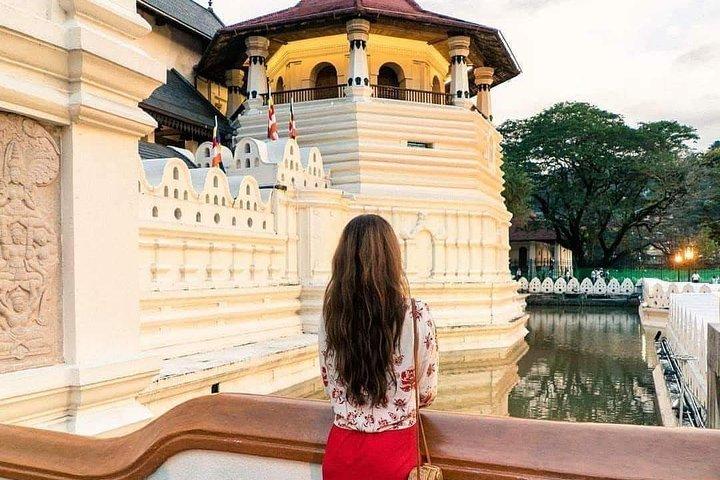 Kandy Day Tour From Colombo