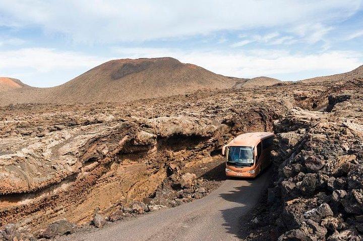 Lanzarote Cesar Manrique Excursion with Jameos del Agua Entrance