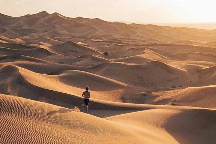Dubai City Tour And Desert Safari With Dinner