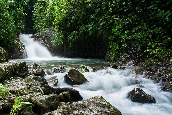 Rainmaker Park Hanging Bridges & Waterfalls Tour with Jade Tours