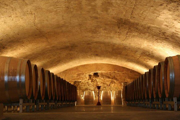Châteauneuf du Pape Wine Day Tasting Tour including Lunch from Avignon