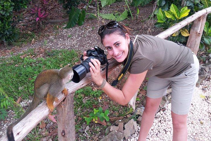Monkeyland and Plantation Safari from La Romana