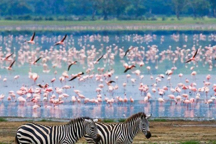 Naivasha Full Day Safari