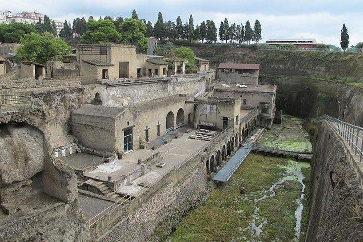 Herculaneum Ruins: Day trip from Naples with Skip the Line