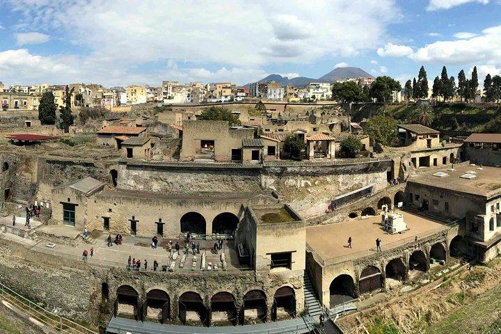 Vesuvius and Herculaneum Day Trip from Naples with Skip the Line