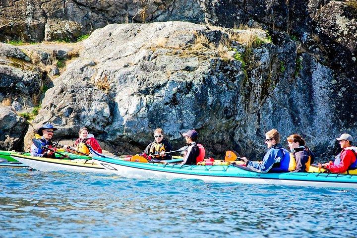 Victoria Harbour Kayak Tour