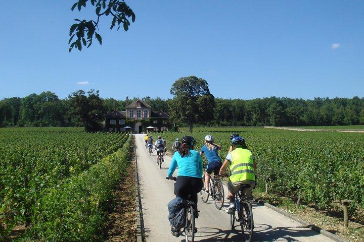 Burgundy Bike Tour with Wine Tasting from Beaune