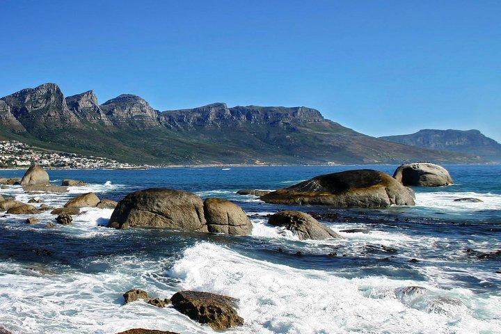 The Cape Peninsula Half Day Tour in Cape Town