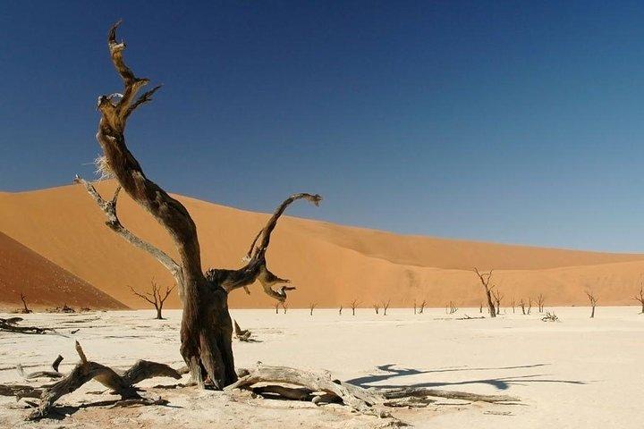 7 Days-Desert adventure, Swakopmund & Etosha Lodging Tour