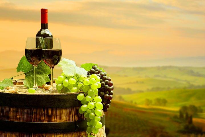 DeepWine Half Day 2 Wineries & Lunch or Dinner in Tuscan Hills