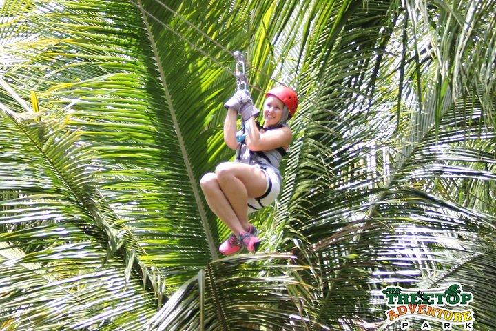 Treetop Canopy Adventure