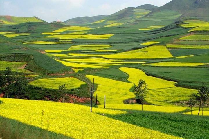 1-Day Longsheng Rice Terrace Tour from Guilin with Private Guide & Driver