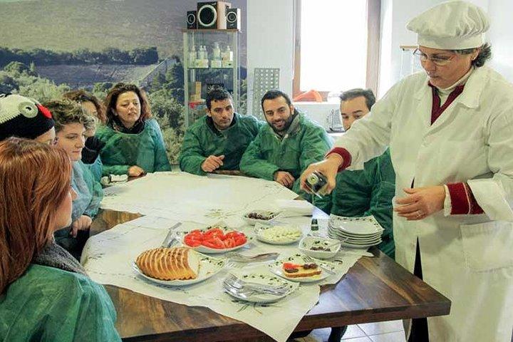 Olive Oil Tour close to Nafplio
