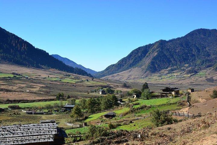 Scenic Bhutan Guided Multi-Day Tour with Airport Pickup