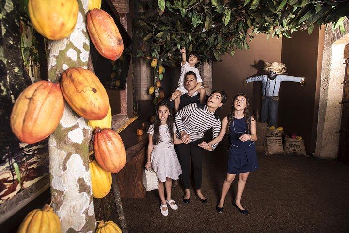 Chocolate Tour - KahKow Experience