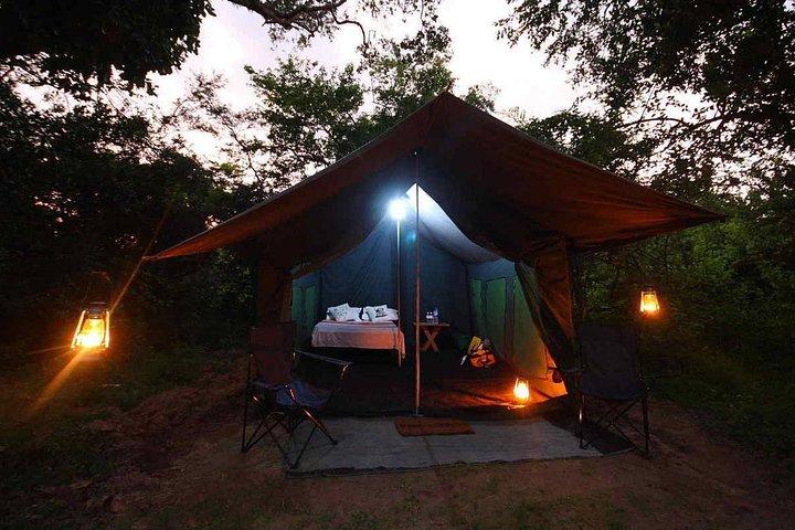 8 Day Private Tour Sri Lanka with Wildlife & Outdoor Experiences from Colombo