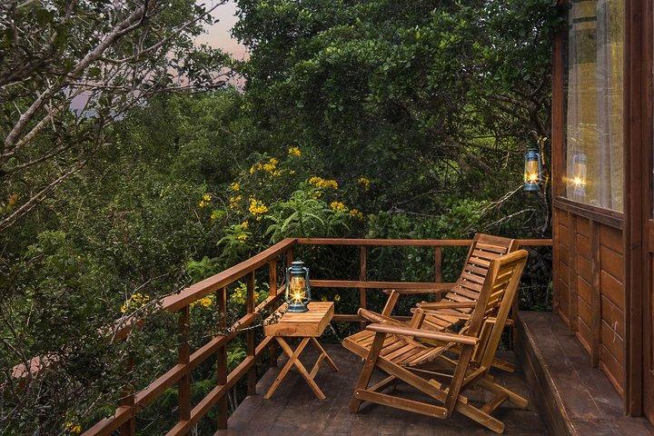 All Inclusive Leopard Nest Treehouse Safari in Yala