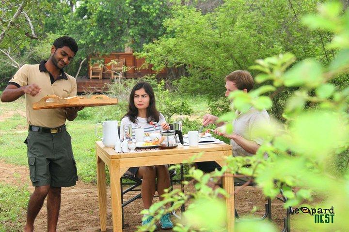 From Beach Hotels: Yala National Park Safari with Campsite Lunch