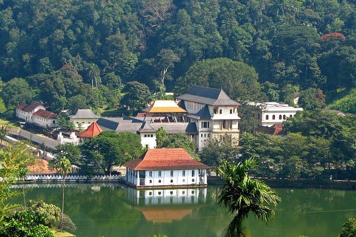 Exclusive: Last Kingdom Private Day Tour in Kandy