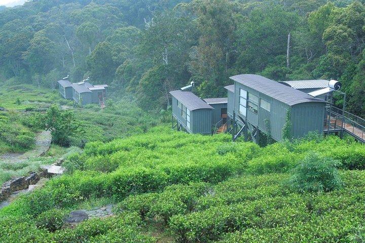Exclusive: Private All Inclusive Overnight Rain forest adventure