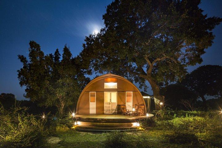 3-Day Jungle Safari Experience in Yala National Park