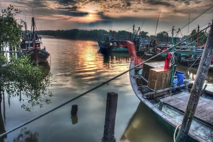 Magical Full-Day Fireflies River and Seafood Dinner, Selangor
