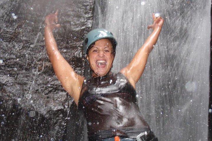 Tijuca National Park Hike and Waterfall Rappelling