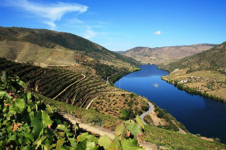 Douro Valley Private Wine Tour From Lisbon
