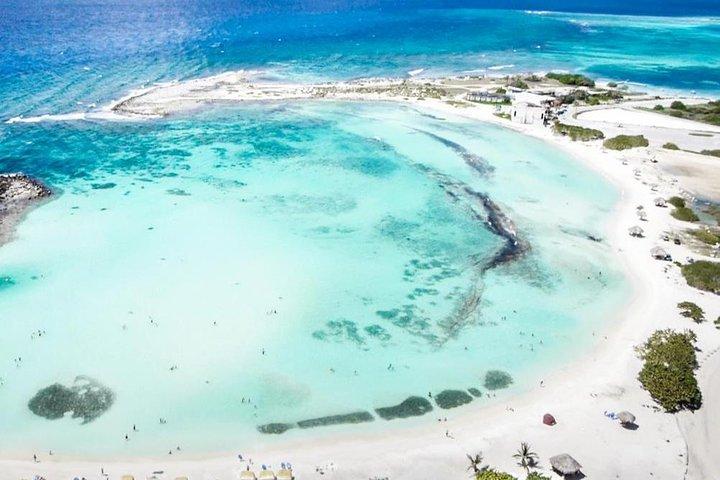 Aruba Mangel Halto and Baby Beach Snorkeling Guided Tour