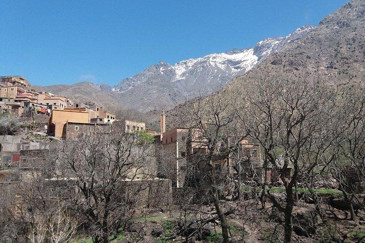 Marrakech To Atlas Mounatains Morocco 1 Day