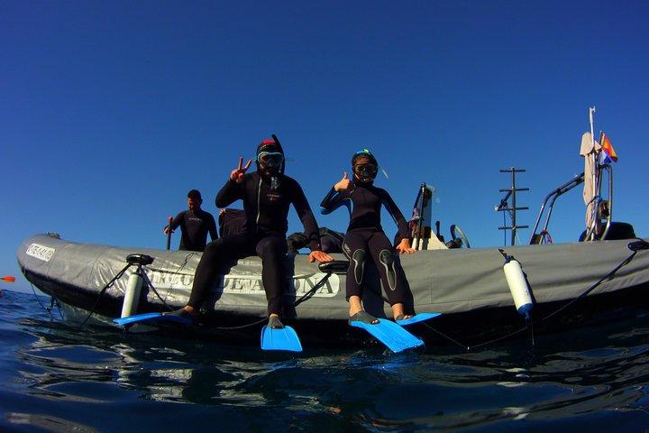 Snorkeling Tour with Sea Turtles and Stingrays