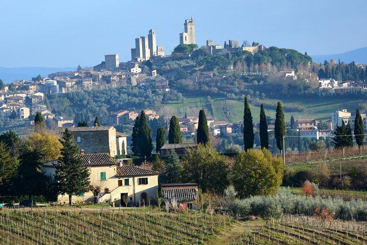 Private Tuscany Day Tour: San Gimignano and Chianti Wine Region from Florence
