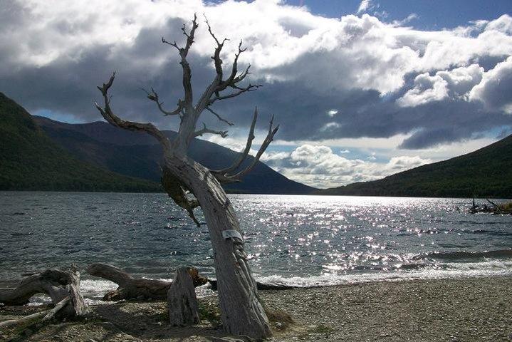 7-Hour Lakes Escondido & Fagnano - USHUAIA (Shared tour)