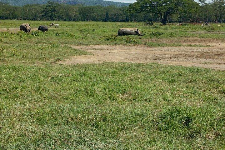Private Day trip- Lake Nakuru National Park from Nairobi by van