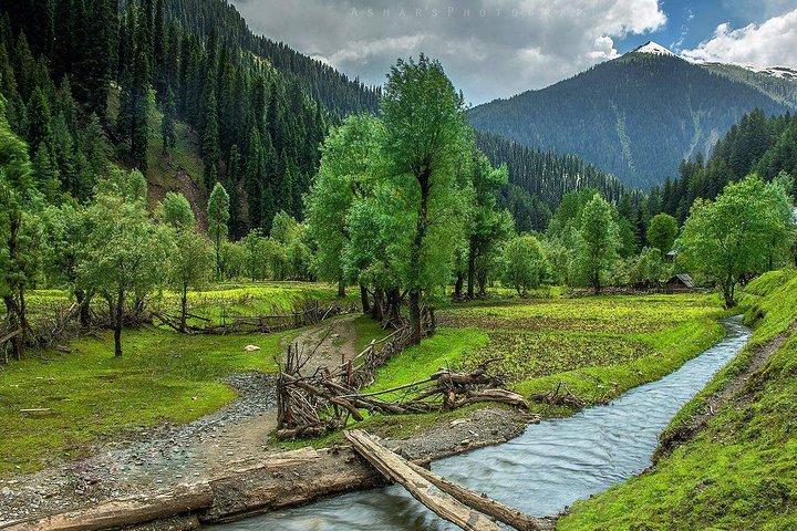 6 Days and 5 Nights Private Tour of Kashmir