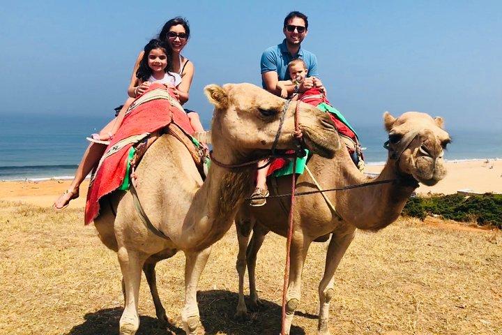 Private Full Day Tour of Tangier w/ Hotel pick up with private driver and guide