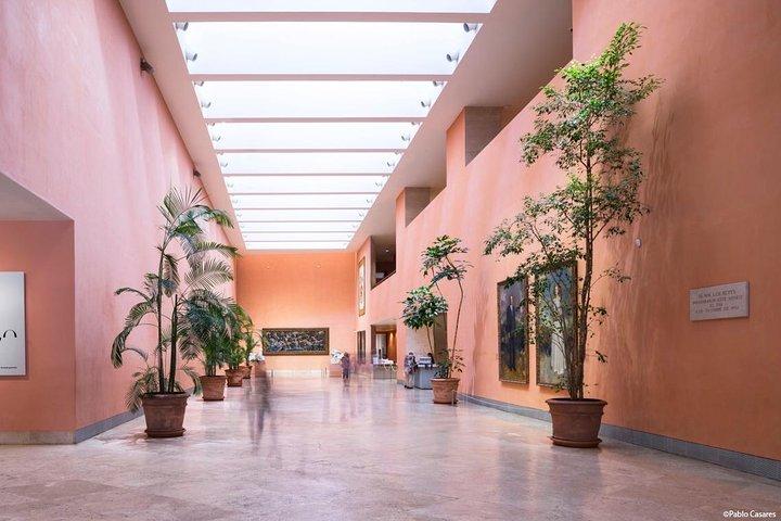 Madrid Private Walking Tour of Thyssen and Reina Sofia Museums