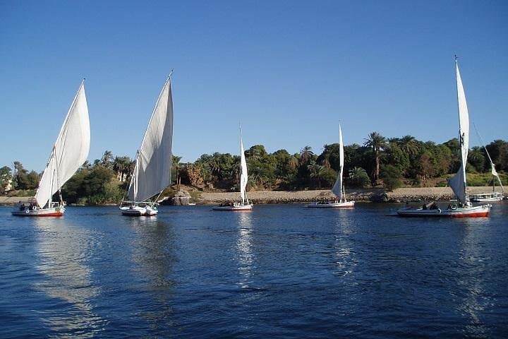 Felucca Day Cruise in Luxor