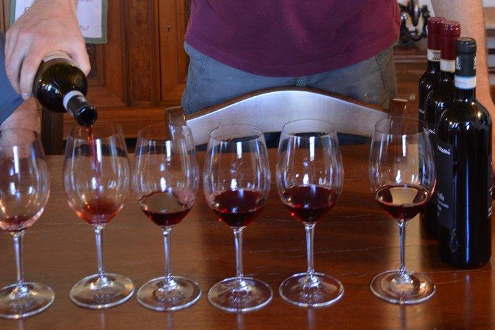 Pagus Wine Tours® - Soave and Amarone - Half day wine tour