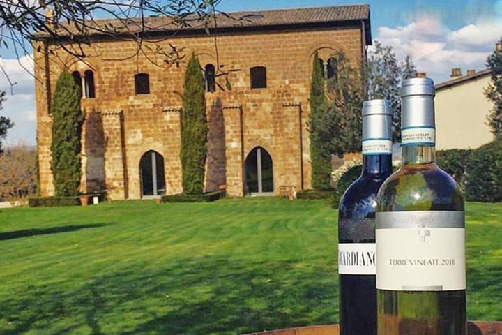 Private Orvieto Daytrip from Rome with Winery Visit