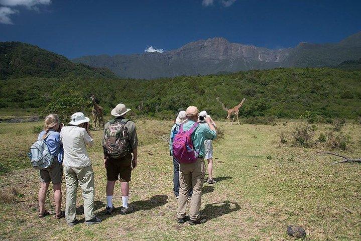 Day Trip Tour to Arusha National Park