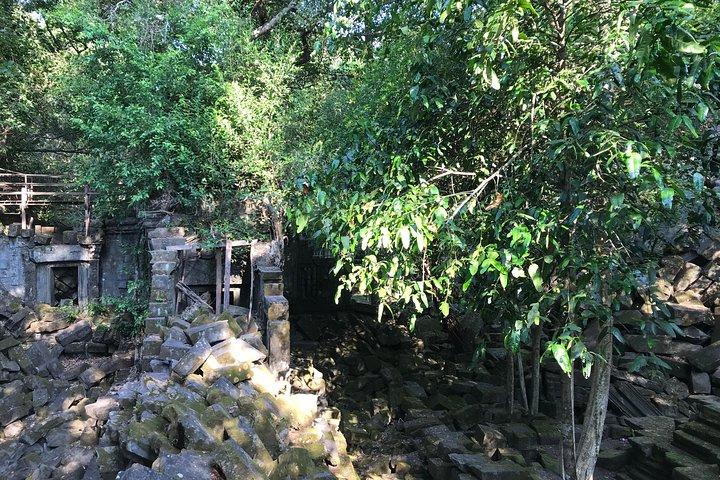 Private Beng Mealea Temple Tour – Hidden Jungle Ruins