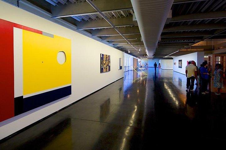Museum of Modern Art in Rio de Janeiro Guided Tour, Admission & Transfer