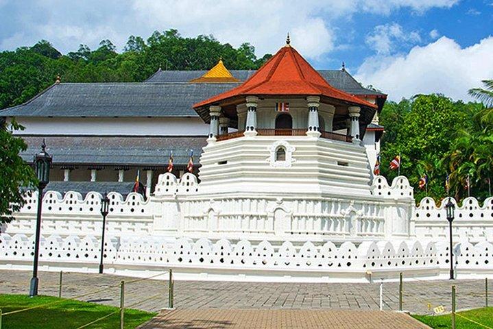 Shore Excursions Colombo Port Passenger Terminal to Kandy By Car.