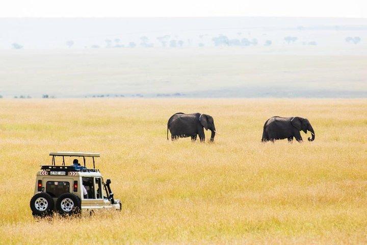 6 Days Budget Tanzania Camping Safari
