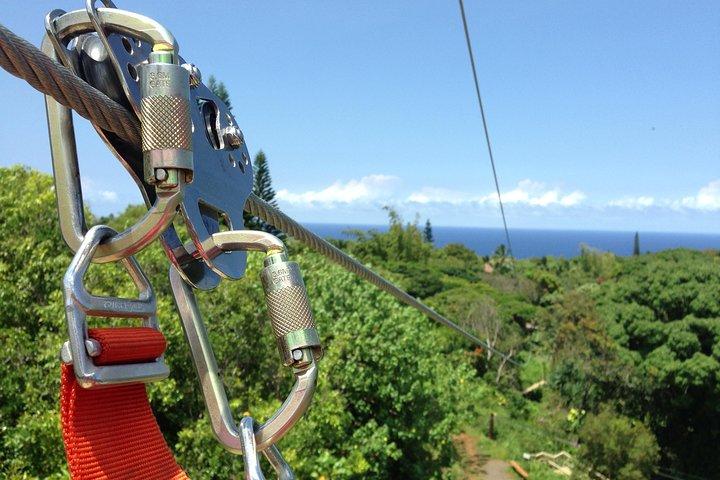 Maui Zipline Eco Adventure: 8 Lines through the Jungle